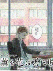 逆光航线 桥电影最新片单